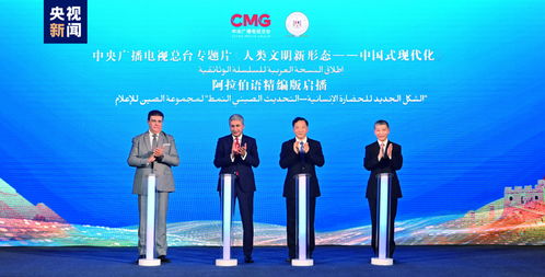 文明对话与世界关切 中埃伙伴年的意义与启示